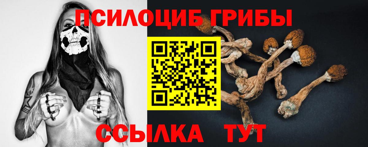Советский  где найти   Вход с VPN  Псилоцибиновые грибы Psilocybe 